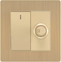16A 250V 1 Gang Switch with 250W Light Dimmer