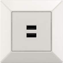 Double USB 2.1A+1A Socket