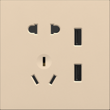 Double USB with 5 pin socket