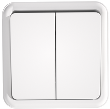 10A 250V~2 gang 1 way switch