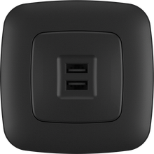 Double USB 2.1A+1A Socket