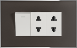 16A 250V 1 switch with 2 socket