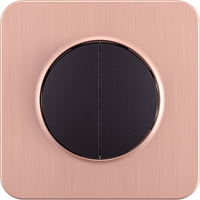 10A 250V~2 gang 1 way switch