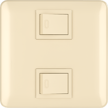 10A 250V 2 gang 1 way switch