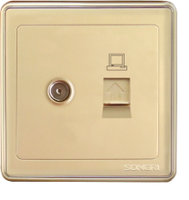 双联电视电脑插座