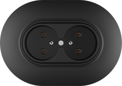 16A 250V~Double French socket