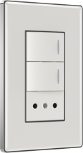 2 gang switch with one Chilean style socket