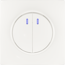 2 gang 1 way switch with light