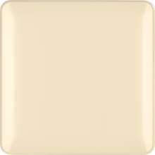 blank plate