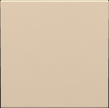 16A 250V~ 1 gang 1 way switch