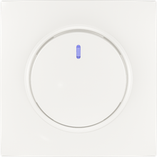1 gang 1 way switch with light