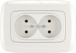 16A 250V~Double French Socket