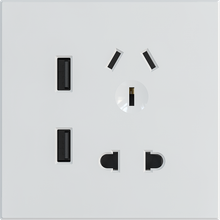 Double USB with 5 pin socket