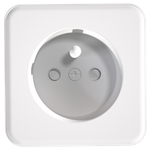 French Socket