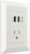 USB module with one American style socket