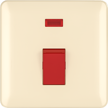 20A DP switch