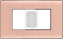 Buzzer