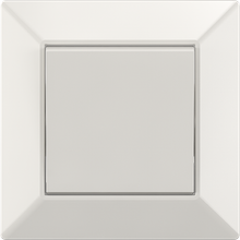 10A 250V~1 gang 1 way switch