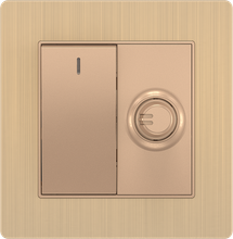 16A 250V 1 Gang Switch with 250W Light Dimmer