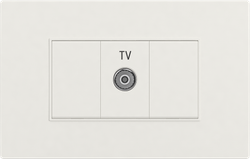 TV socket