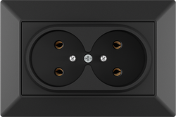 16A 250V~Double French Socket