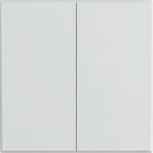 16A 250V~ 2 gang 1 way switch