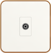 TV socket