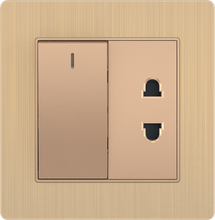 16A 250V 1 Gang Switch with2 Pin Socket