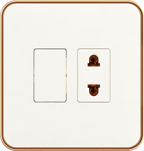 16A 250V~ 1 switch with 1 socket