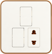 16A 250V~ 2 switch with 1 socket