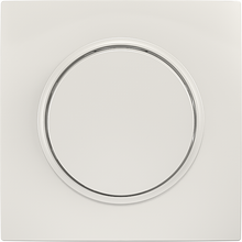 10A 250V~1 gang 1 way switch