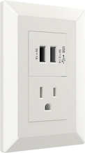 USB module with one American style socket